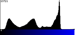 Blue Histogram