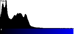 Blue Histogram