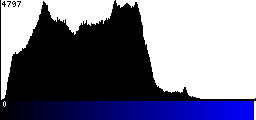 Blue Histogram