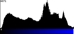 Blue Histogram