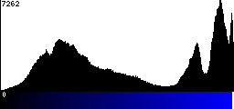 Blue Histogram