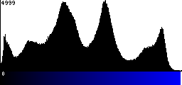 Blue Histogram