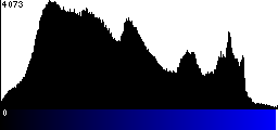 Blue Histogram