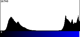 Blue Histogram