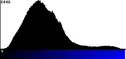 Blue Histogram