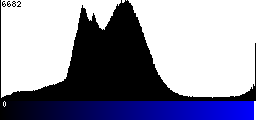 Blue Histogram