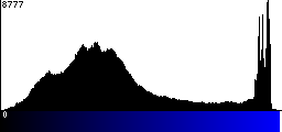 Blue Histogram