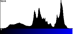 Blue Histogram