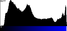 Blue Histogram