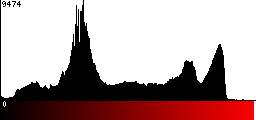 Red Histogram