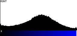 Blue Histogram