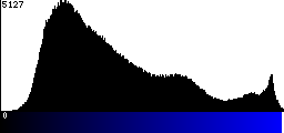 Blue Histogram