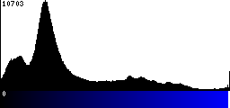 Blue Histogram
