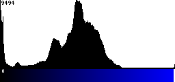 Blue Histogram