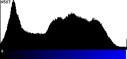 Blue Histogram