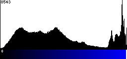 Blue Histogram