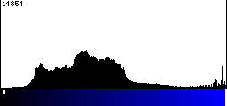 Blue Histogram