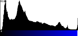 Blue Histogram