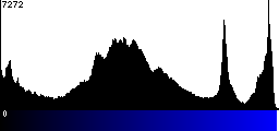 Blue Histogram