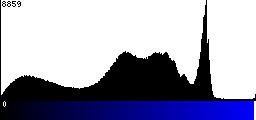 Blue Histogram