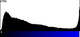 Blue Histogram