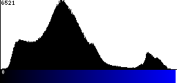 Blue Histogram