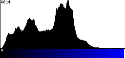 Blue Histogram