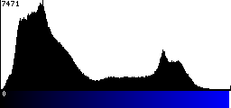 Blue Histogram