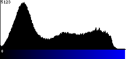 Blue Histogram