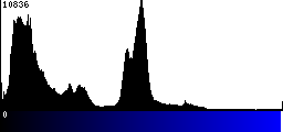 Blue Histogram