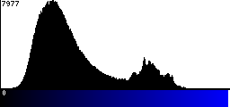 Blue Histogram
