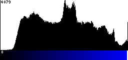Blue Histogram
