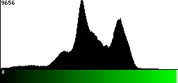 Green Histogram
