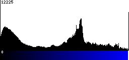 Blue Histogram