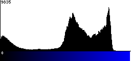 Blue Histogram