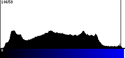 Blue Histogram