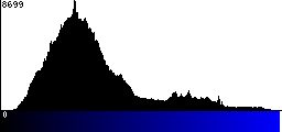 Blue Histogram