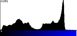 Blue Histogram