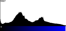 Blue Histogram