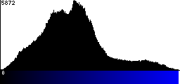 Blue Histogram