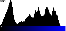 Blue Histogram