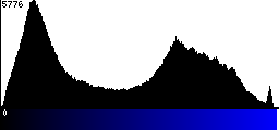 Blue Histogram