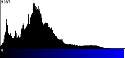 Blue Histogram