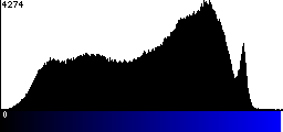 Blue Histogram