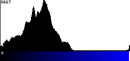 Blue Histogram