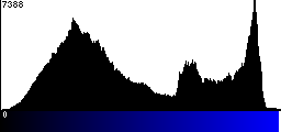 Blue Histogram