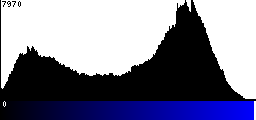 Blue Histogram