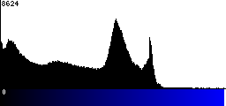 Blue Histogram
