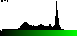 Green Histogram