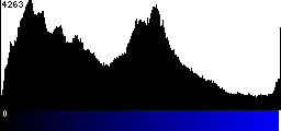 Blue Histogram